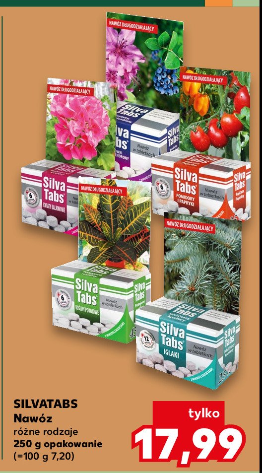 Nawóz w tabletkach do rododendronów Silva tabs promocja w Kaufland