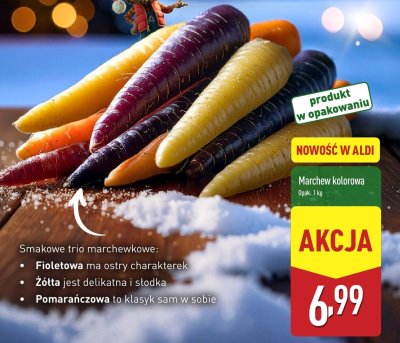 Marchew kolorowa fioletowa żółta pomarańczowa promocja w Aldi