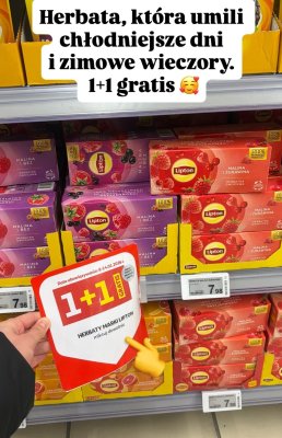 Herbata promocja w Auchan