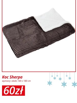 Koc Sherpa promocja w KiK