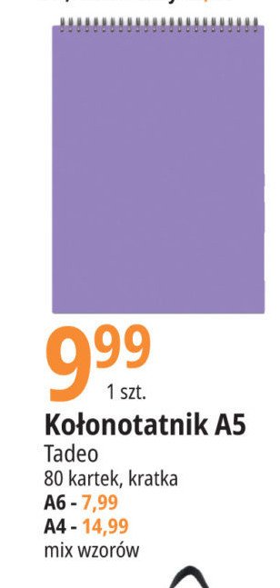 Ko艂onotanik a6/80 kartek kratka TADEO promocja