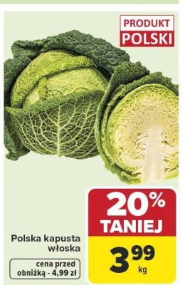 Kapusta włoska polska promocja w Carrefour Market
