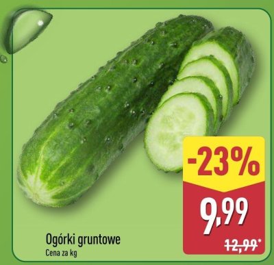 Ogórki gruntowe promocja w Aldi