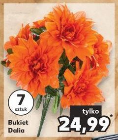 Bukiet dalia promocja