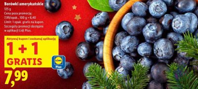 Borówki amerykańskie  promocja w Lidl