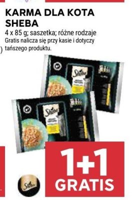 Karma dla kota Sheba promocja w Stokrotka
