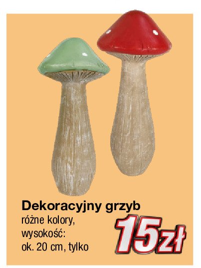 Grzyb dekoracyjny promocja