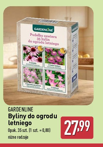 Byliny GARDEN LINE promocja