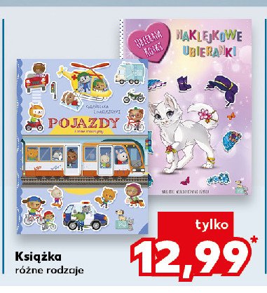 Książka ubieram kotki promocja w Kaufland