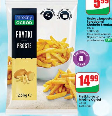 Frytki proste Mroźny Ogród promocja w Dino