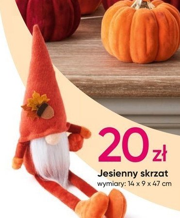 Jesienny skrzat 14 x 9 x 47 cm promocja