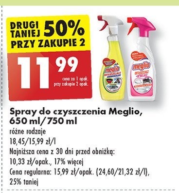 Odtłuszczacz w sprayu Meglio promocja