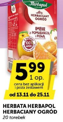 Herbata Herbapol Herbaciany Ogród imbir z pomarańczą i pigwą promocja w ABC