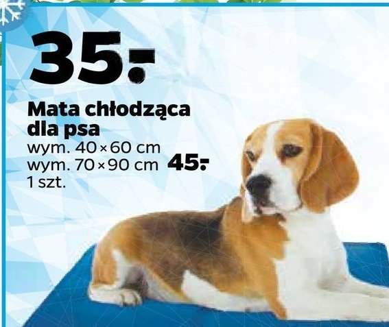Mata chłodząca dla psa 70 x 90 cm promocje