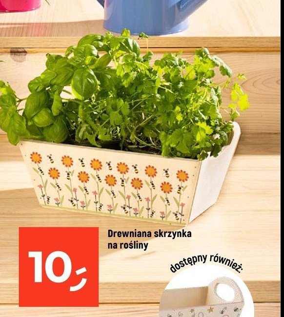 Skrzynka drewniana promocja