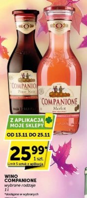 Wino Companione Pinot Noir promocja w Groszek