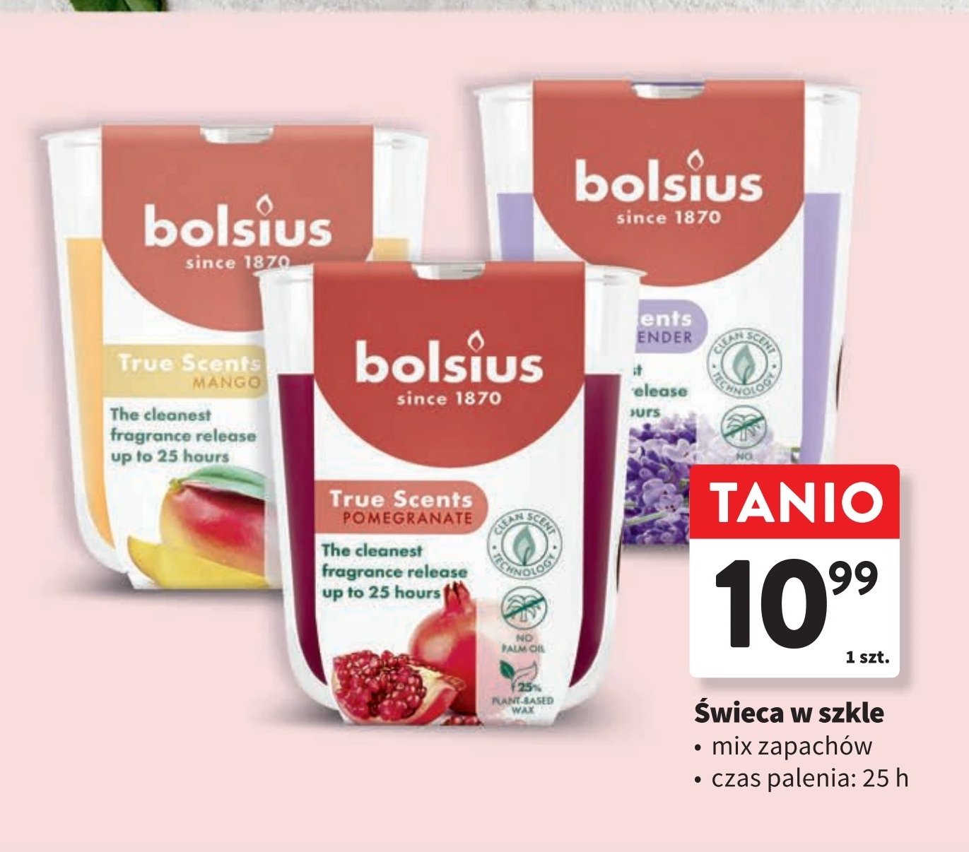 Świeca w szkle lawenda Bolsius promocja w Intermarche