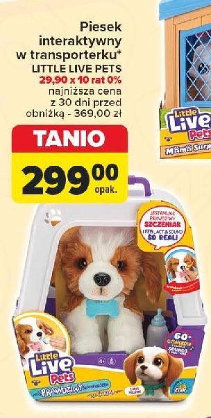 Interaktywny piesek Little live pets promocja w Carrefour