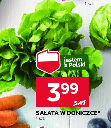 Sałata w doniczce polska promocja