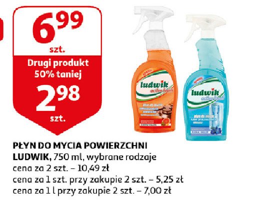 P艂yn do mycia kabin prysznicowych Ludwik promocja