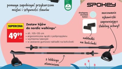 Zestaw kijów do nordic walkingu SPOKEY promocja w Biedronka