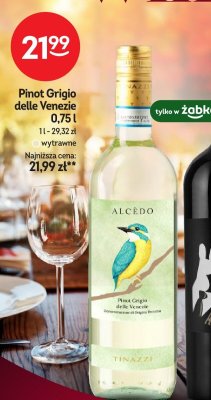 Wino promocja w Żabka