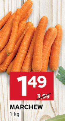 Marchew promocja w Stokrotka