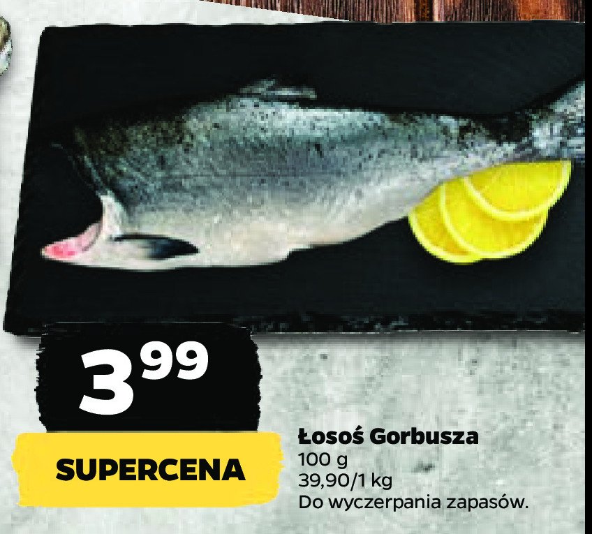 艁oso艣 pacyficzny gorbusza promocja