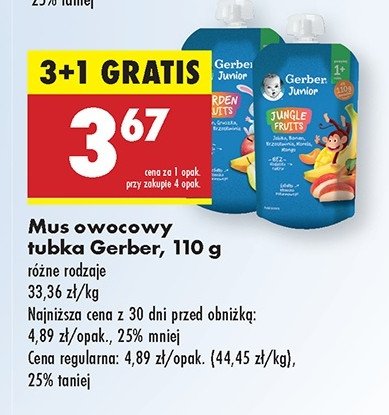 Mus dla dzieci jungle fruits Gerber junior promocja w Biedronka