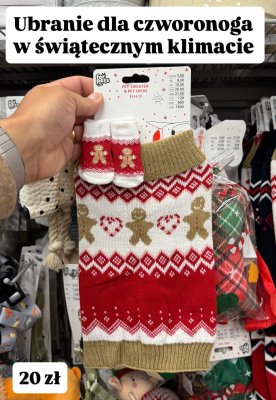 Ubranie dla czworonoga w świątecznym klimacie - sweter i skarpetki  promocja w Pepco