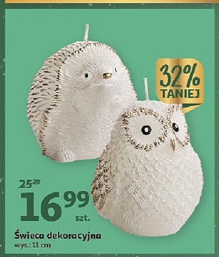 Świeca jeżyk promocja