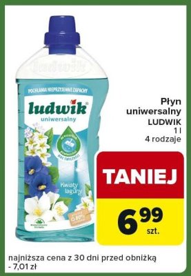 Płyn uniwersalny LUDWIK 1l 4 rodzaje promocja w Carrefour Express