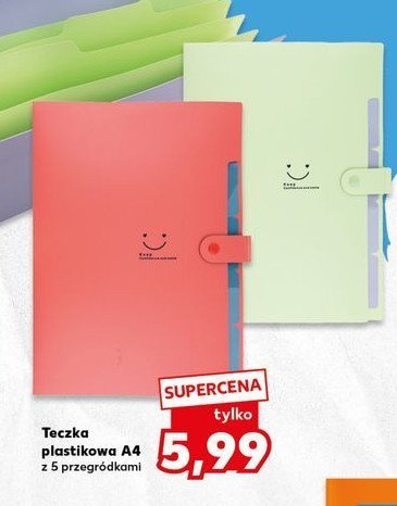 Teczka plastikowa a4 + koszulki promocja