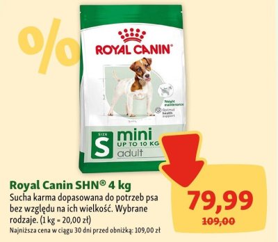 Karma sucha Royal Canin SHN 4 kg promocja w MAXI ZOO