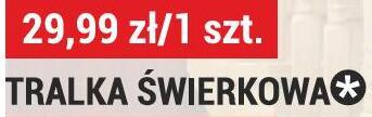 Tralka świerkowa promocja w Merkury Market