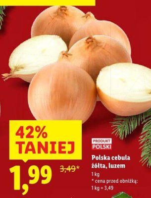Cebula promocja w Lidl