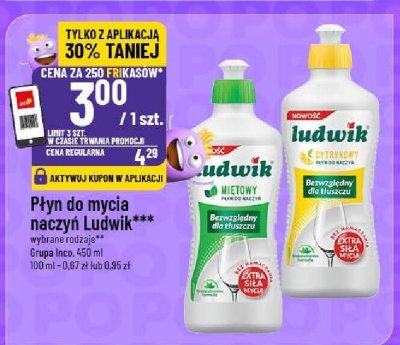 Płyn do mycia naczyń Ludwik wybrane rodzaje promocja w POLOmarket