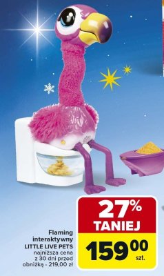 Flaming interaktywny promocja w Carrefour