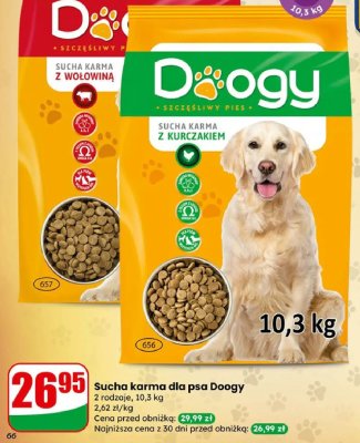 Sucha karma dla psa z wołowiną promocja w Dino