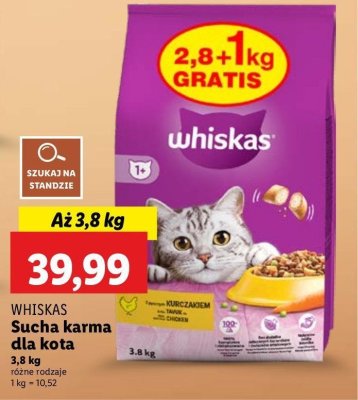 Karma dla kota kurczak Whiskas promocja