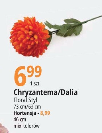 Hortensja Floral styl promocja