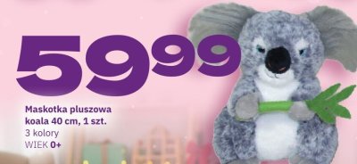 Maskotka pluszowa koala 40 cm, 1 szt. promocja w Twój Market