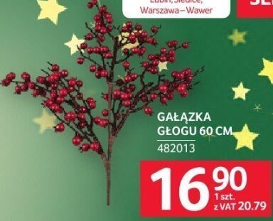 Gałązka głogu 60 cm promocja w Selgros