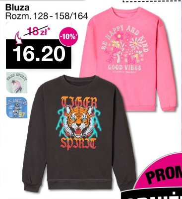 Bluza dziecięca Rozm. 128-158/164 promocja w Woolworth