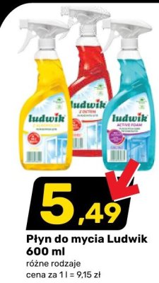 Płyn do mycia Ludwik promocja w Bricomarche