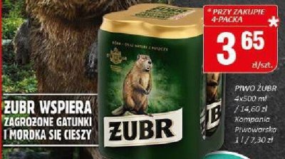 Piwo Żubr promocja w Chorten