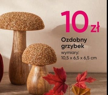 Grzybek 10.5 x 6.5 x 6.5 cm promocja