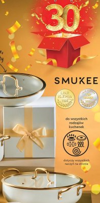 Garnek z pokrywką 28 cm promocja w Biedronka