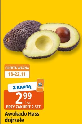 Awokado Hass dojrzałe promocja w Leclerc