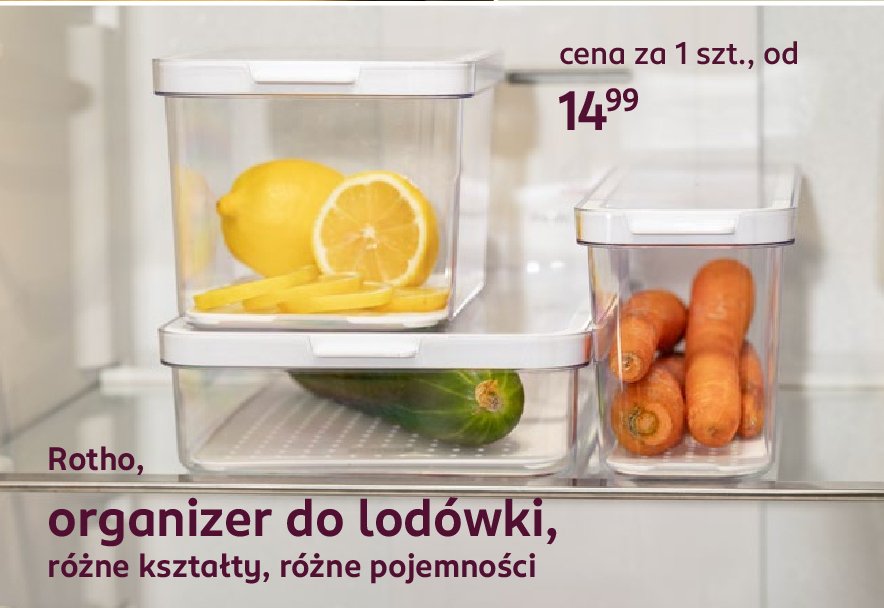 Organizer do lodówki cauma 2.6 l Rotho promocja